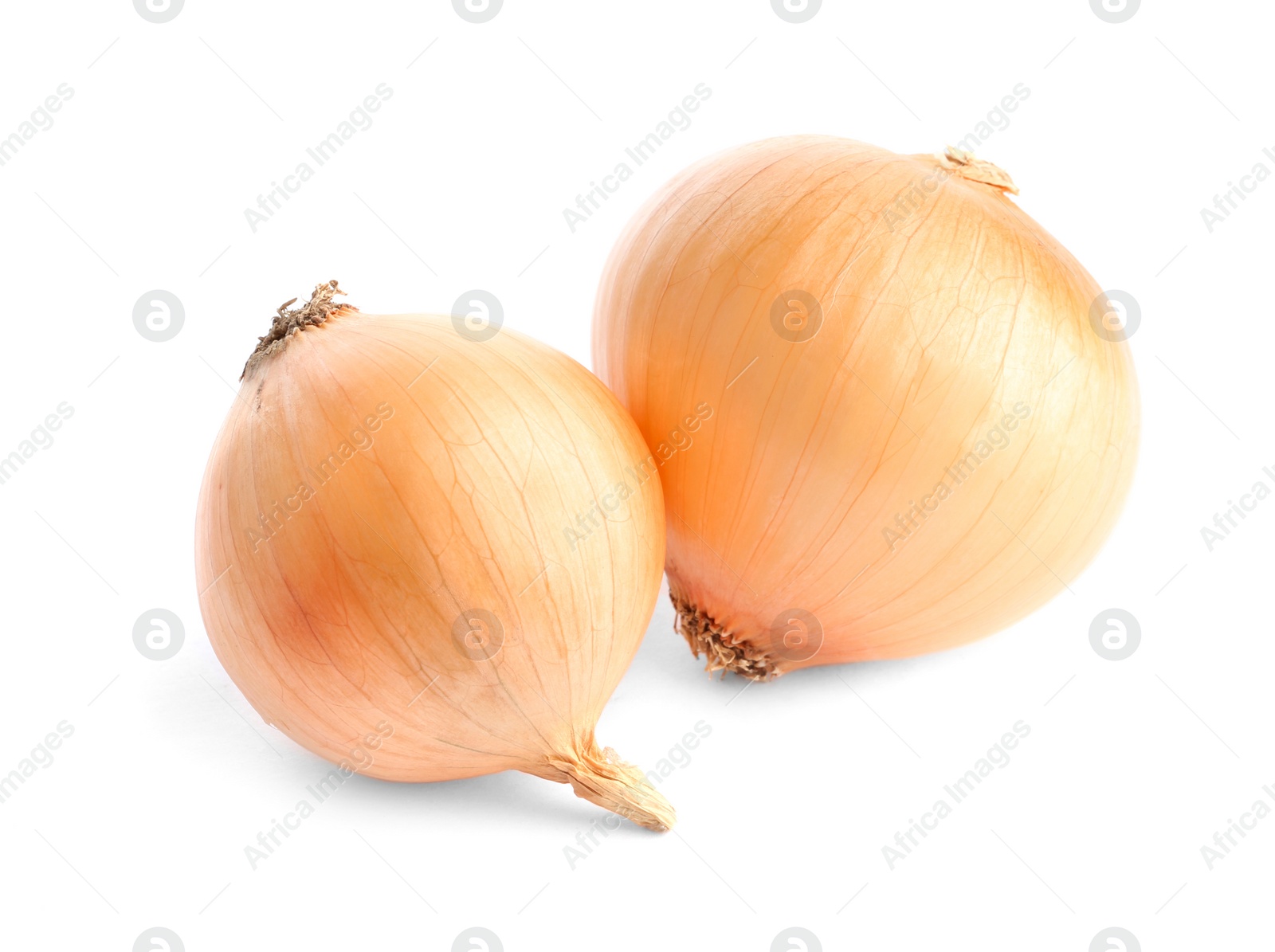 Photo of Fresh ripe onion bulbs on white background