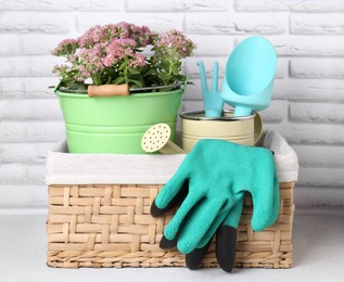 Basket with watering can, gardening tools and beautiful plant on table near white brick wall