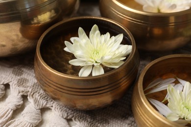 Photo of Tibetan singing bowls with water and beautiful chrysanthemum flowers on table, closeup