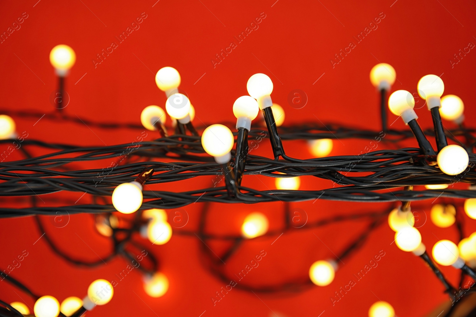 Photo of Glowing Christmas lights on color background, closeup