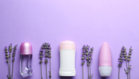 Female deodorants and lavender flowers on lilac background, flat lay