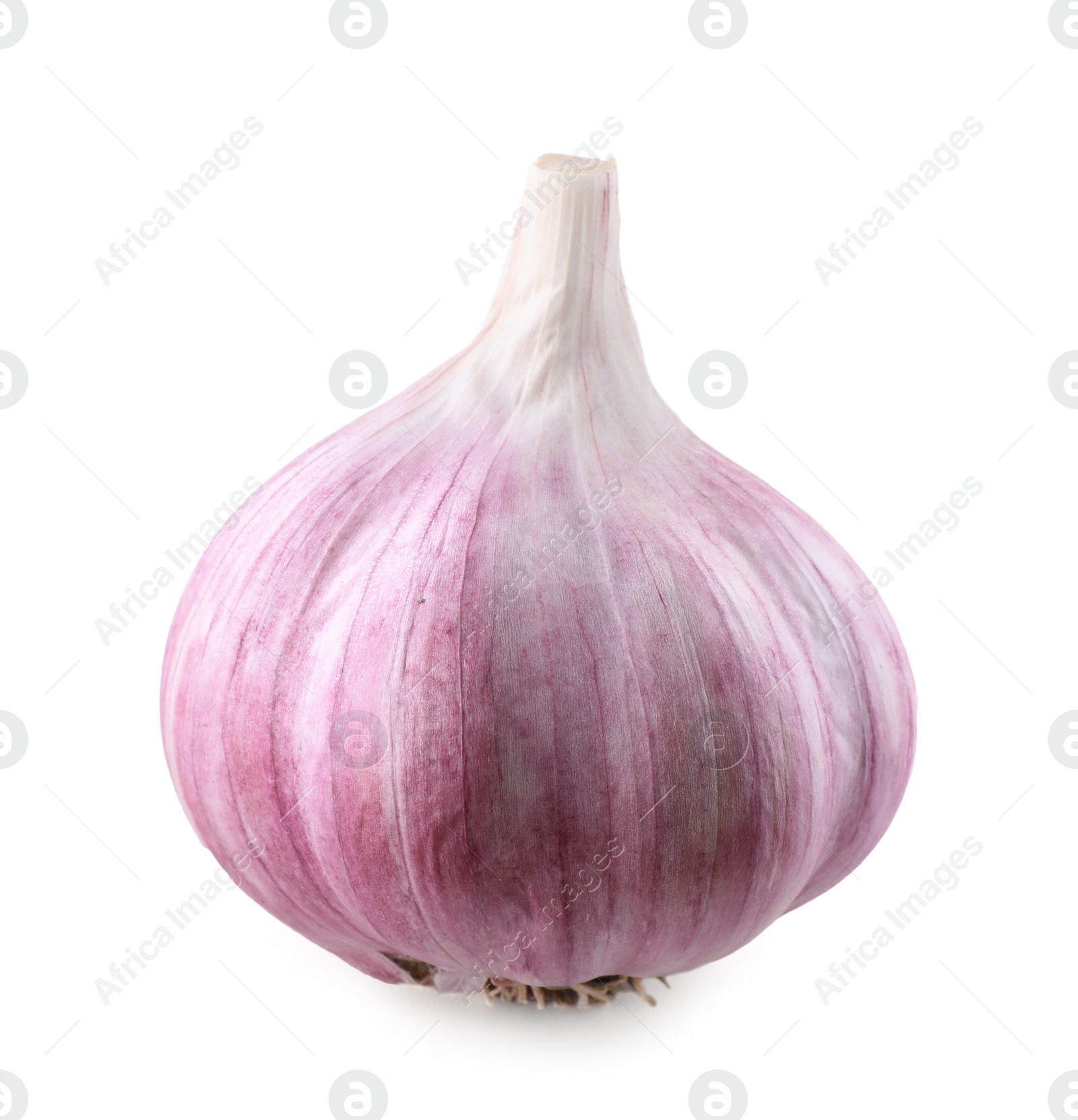 Photo of Fresh raw garlic head isolated on white