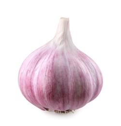 Photo of Fresh raw garlic head isolated on white