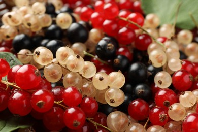 Photo of Different fresh ripe currants as background, closeup