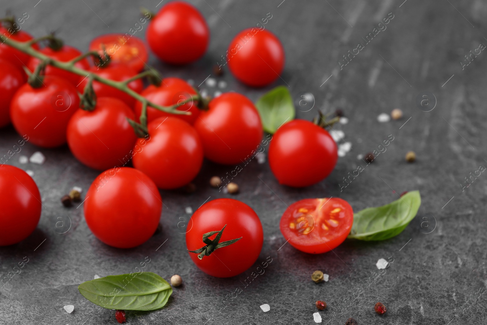 Photo of Ripe tomatoes, basil and spices on gray textured table, closeup