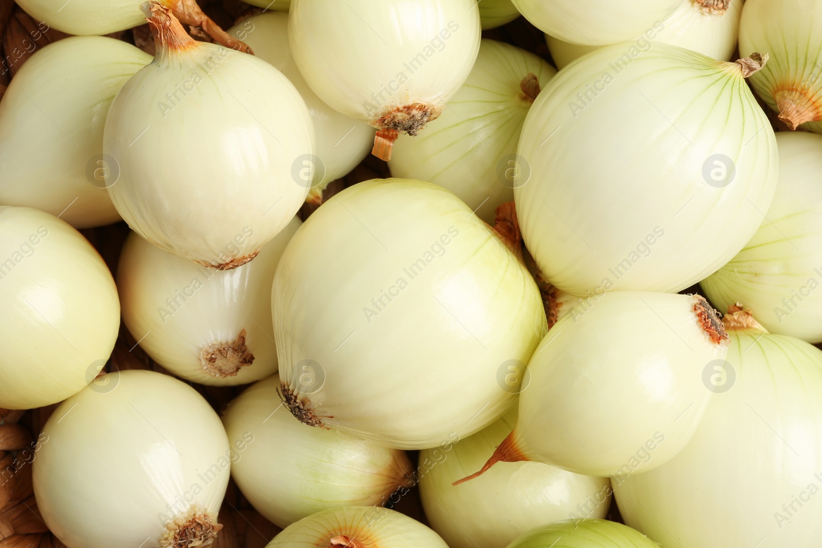 Photo of Fresh whole onions as background, top view