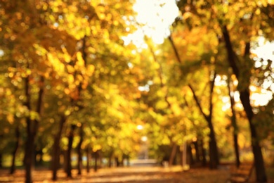 Blurred view of autumn park with trees and dry leaves on ground