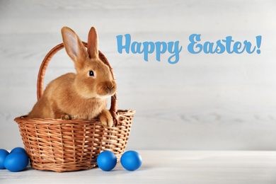 Image of Happy Easter! Cute bunny in wicker basket and dyed eggs on white table