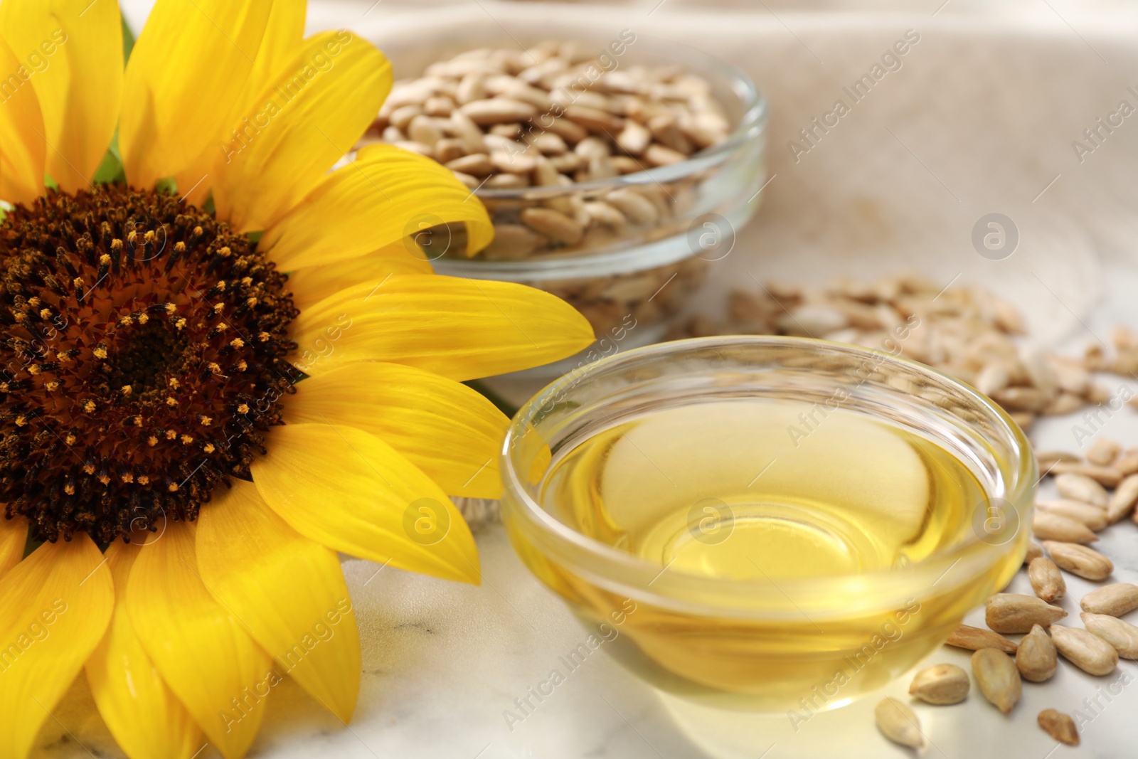 Photo of Sunflower, oil and seeds on white table, closeup