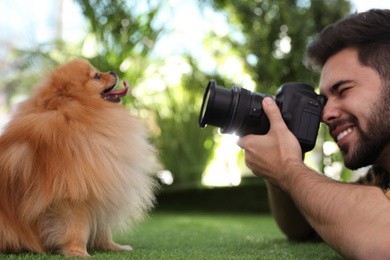 Photo of Professional animal photographer taking picture of beautiful Pomeranian spitz dog on grass outdoors