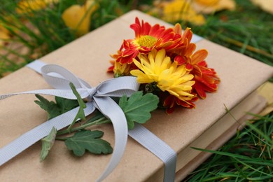 Book decorated with chrysanthemum flowers on grass outdoors, closeup