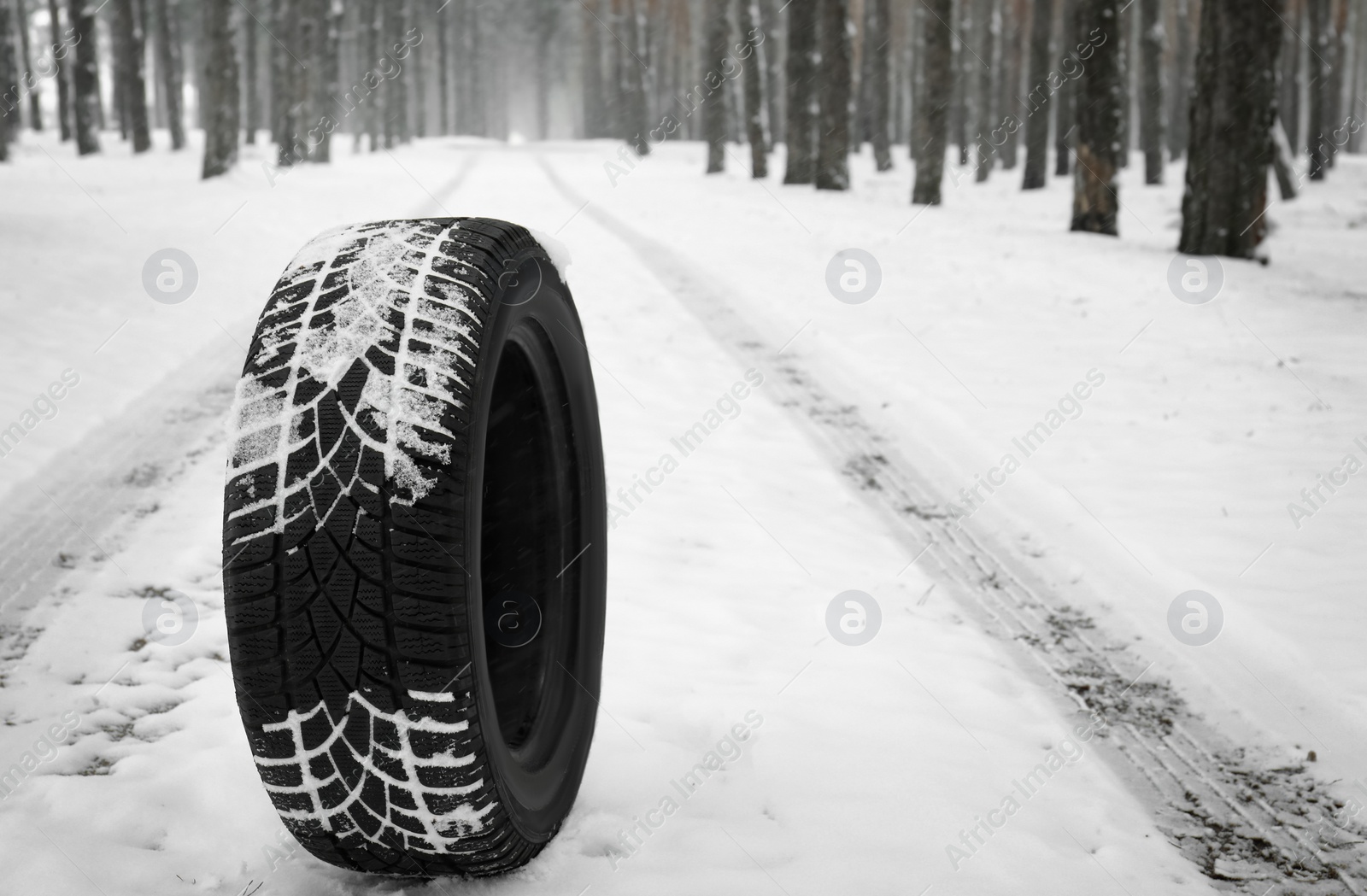 Photo of New winter tire on fresh snow near forest. Space for text