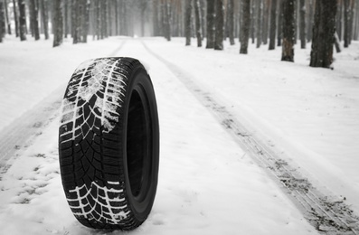 New winter tire on fresh snow near forest. Space for text