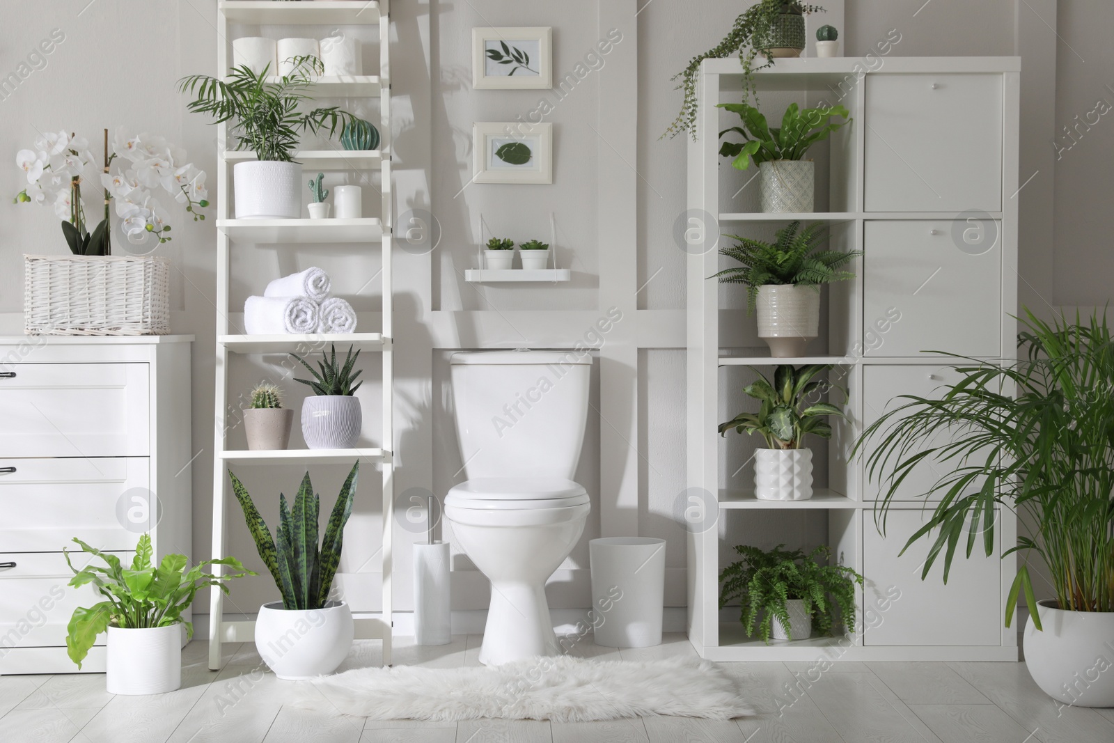 Photo of Stylish bathroom interior with toilet bowl and many beautiful houseplants