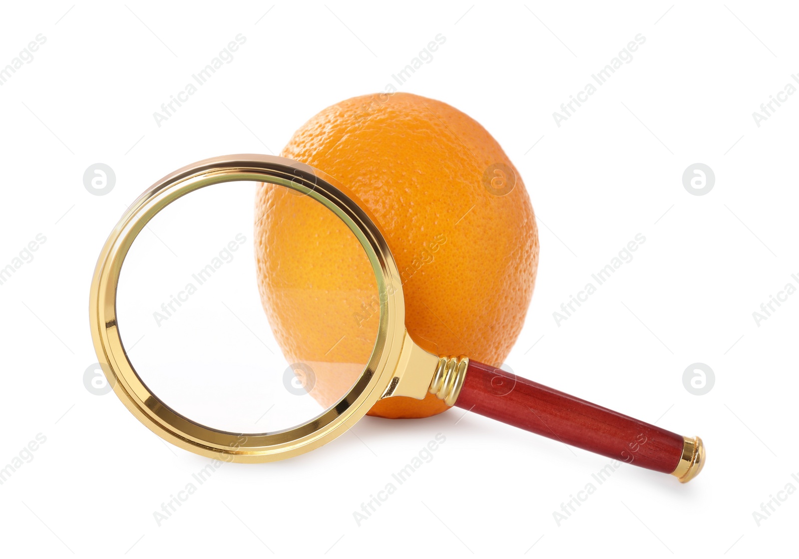 Photo of Cellulite problem. Orange and magnifying glass isolated on white