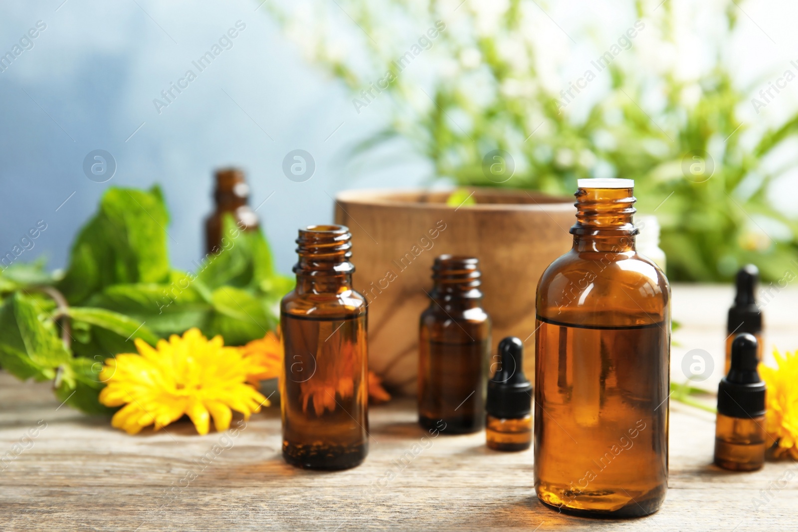 Photo of Composition with essential oils and plants on table