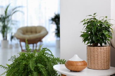 Plant and oil diffuser on table indoors. Home design idea