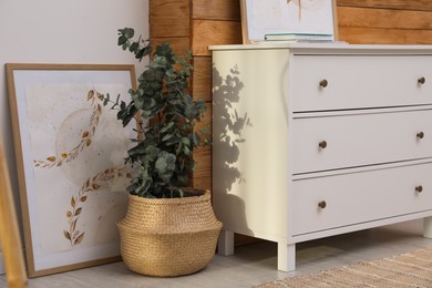 Photo of Chest of drawers, beautiful painting and potted eucalyptus plant in room