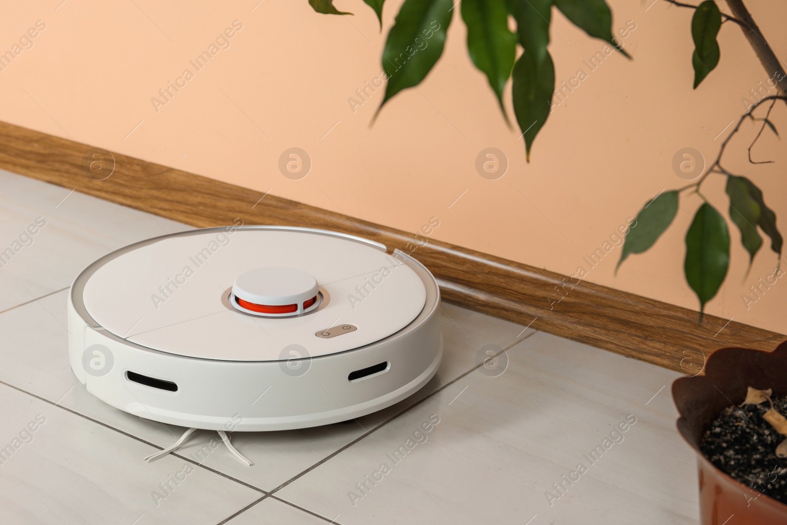 Photo of Robotic vacuum cleaner and fallen yellow leaves near houseplant indoors