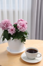 Photo of Beautiful chrysanthemum plant in flower pot and cup of coffee on wooden table indoors