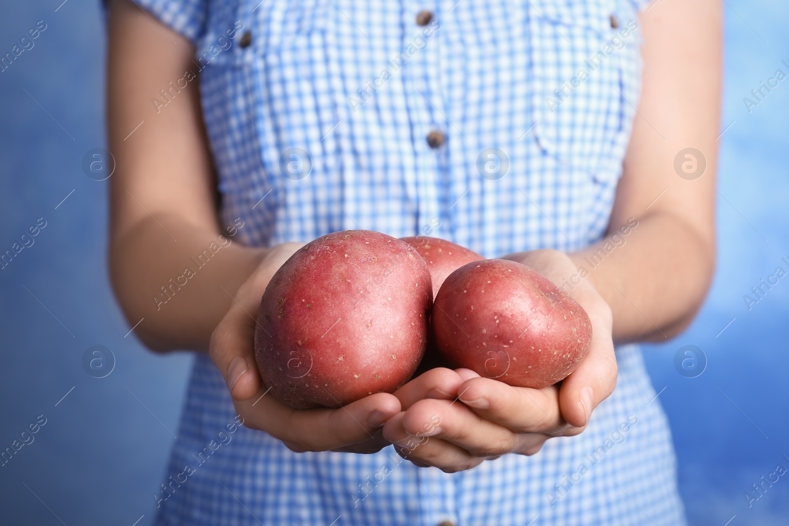 Photo of Person holding handful of fresh organic potatoes on color background