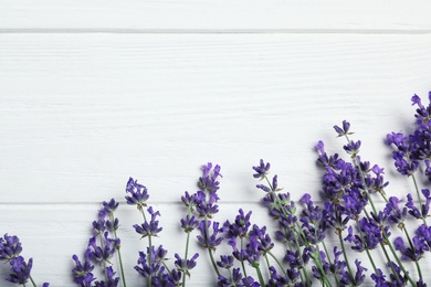 Photo of Beautiful fresh lavender flowers on white wooden background, flat lay. Space for text