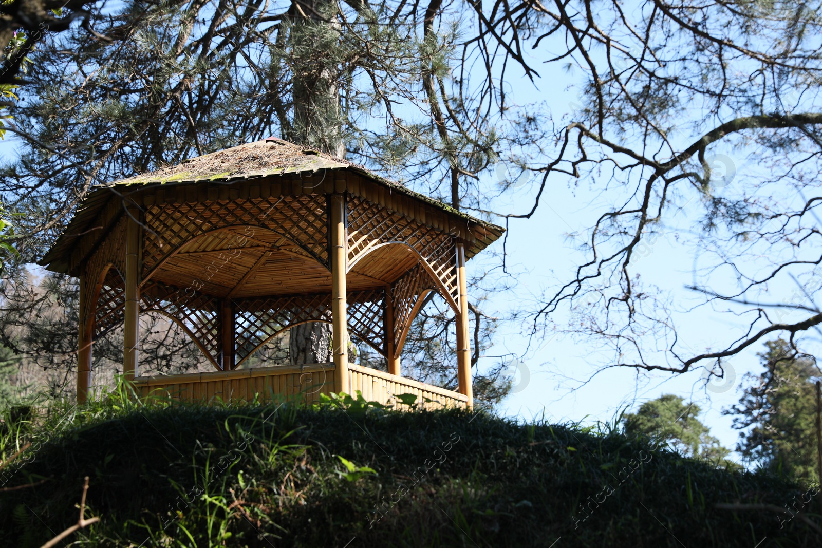 Photo of Picturesque view of wooden gazebo and green plants on sunny day