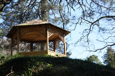 Photo of Picturesque view of wooden gazebo and green plants on sunny day