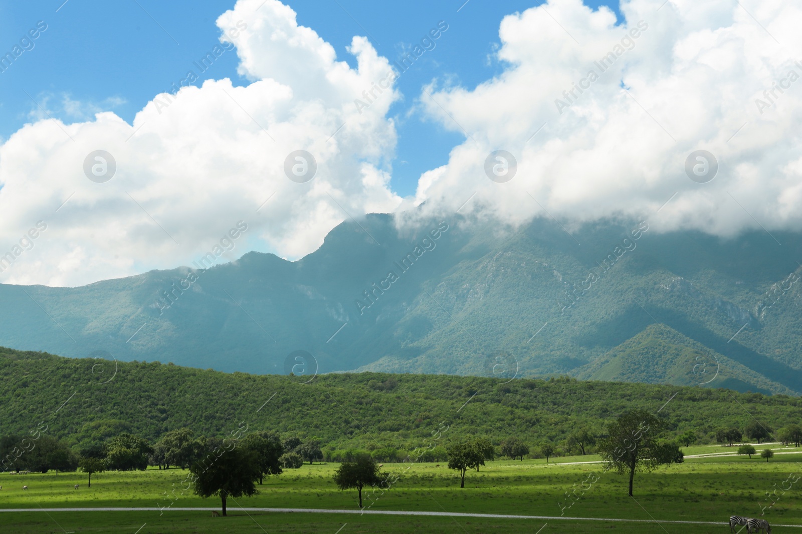 Photo of Picturesque view of mountains and green meadow