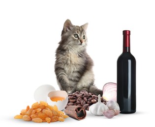 Cute little tabby kitten and group of different products toxic for cat on white background