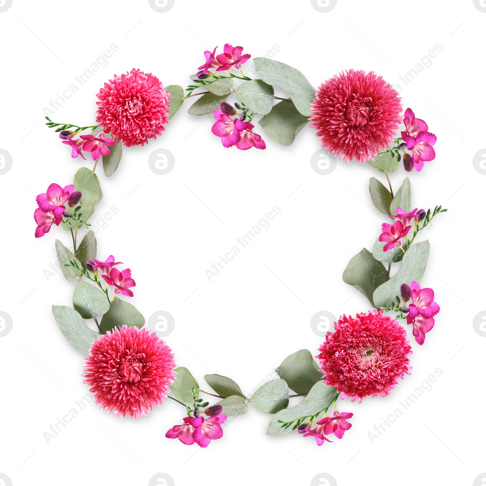 Image of Wreath made of beautiful flowers on white background