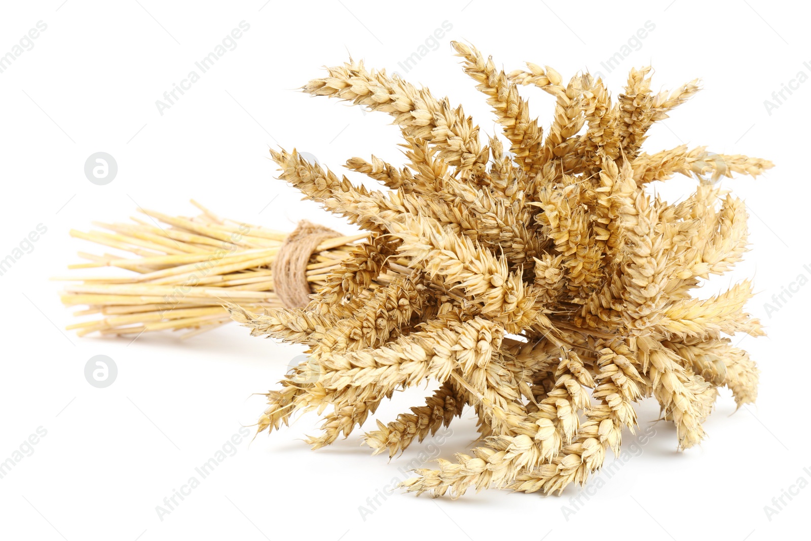 Photo of Bunch of dried wheat isolated on white