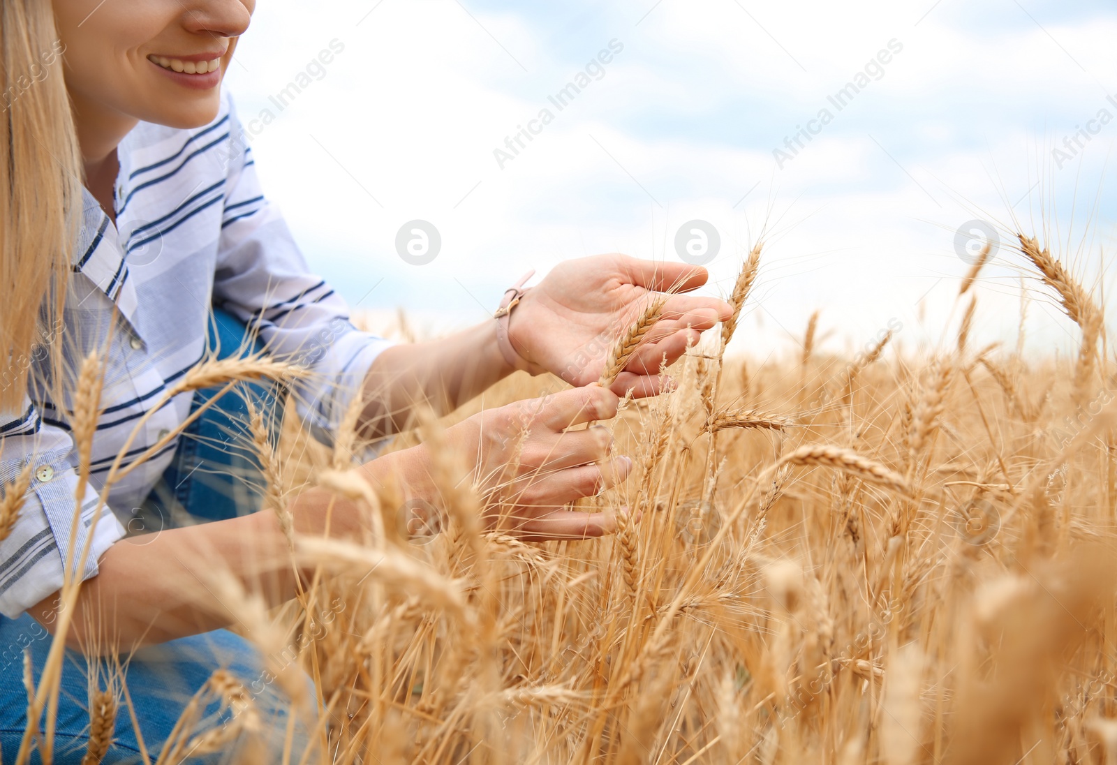 Photo of Young agronomist in grain field. Cereal farming