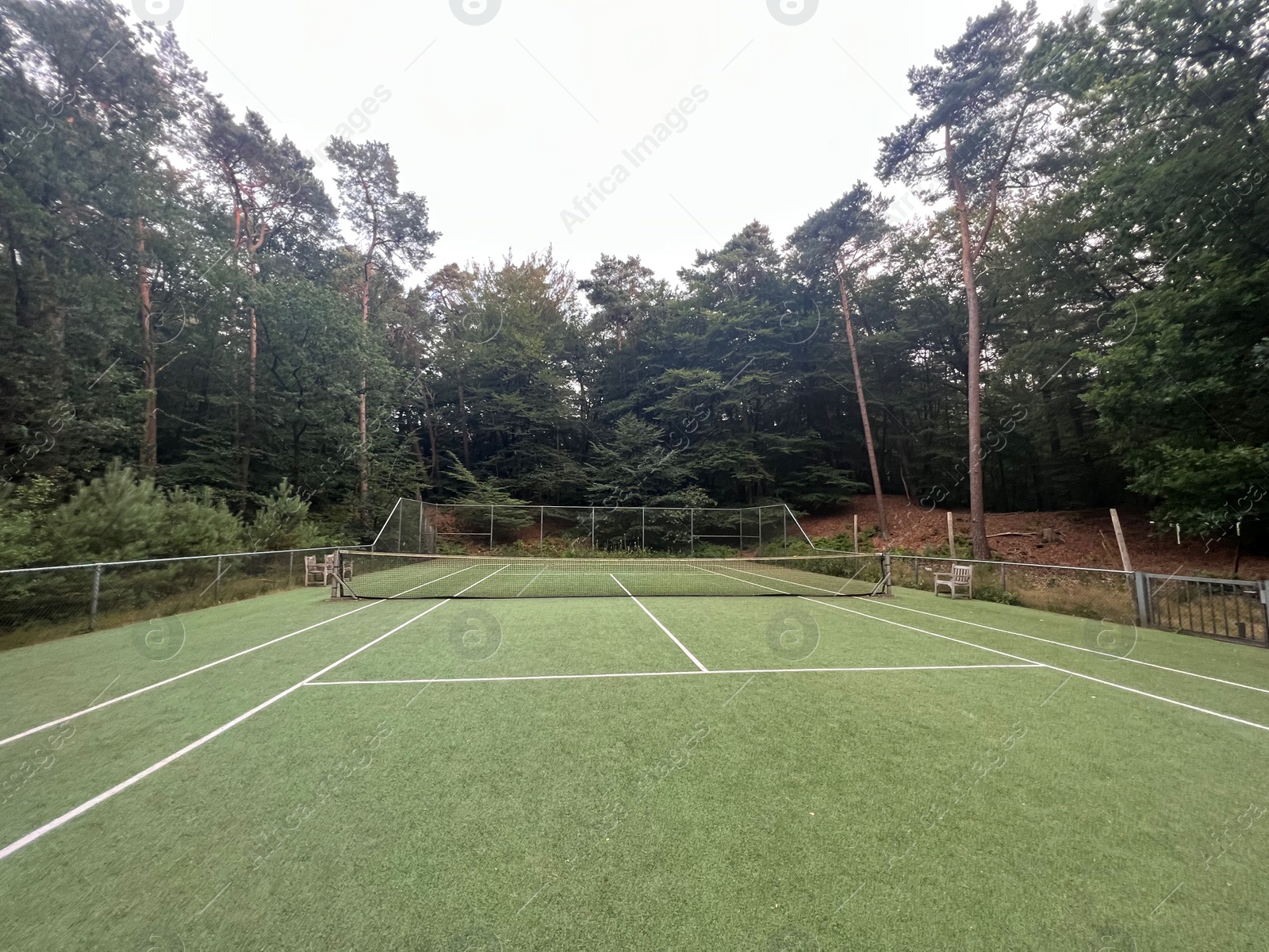 Photo of Tennis court with green grass and net outdoors