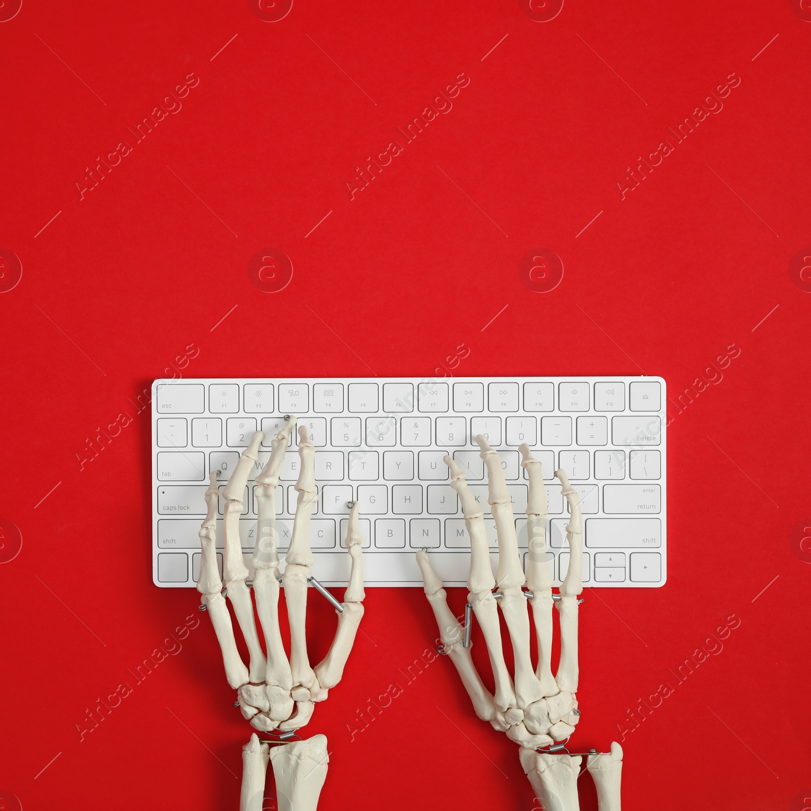 Photo of Human skeleton using computer keyboard on red background, top view. Space for text