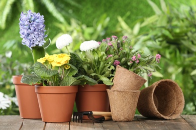 Photo of Potted blooming flowers and gardening equipment on wooden table outdoors
