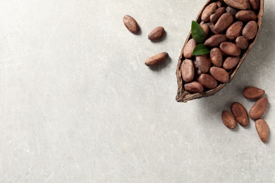 Half of cocoa pod with beans on light table, top view. Space for text