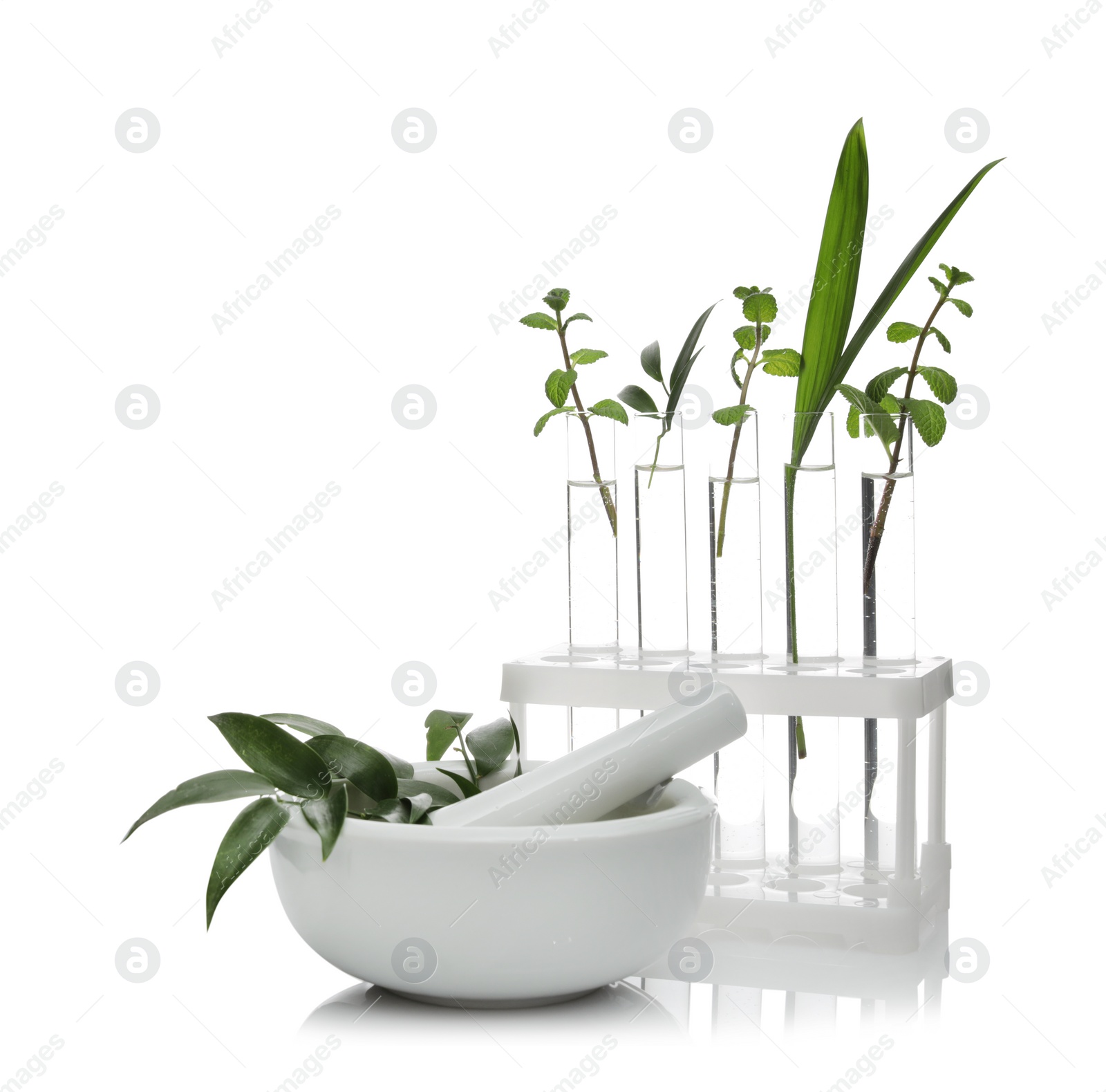 Photo of Test tubes and mortar with plants isolated on white. Organic chemistry