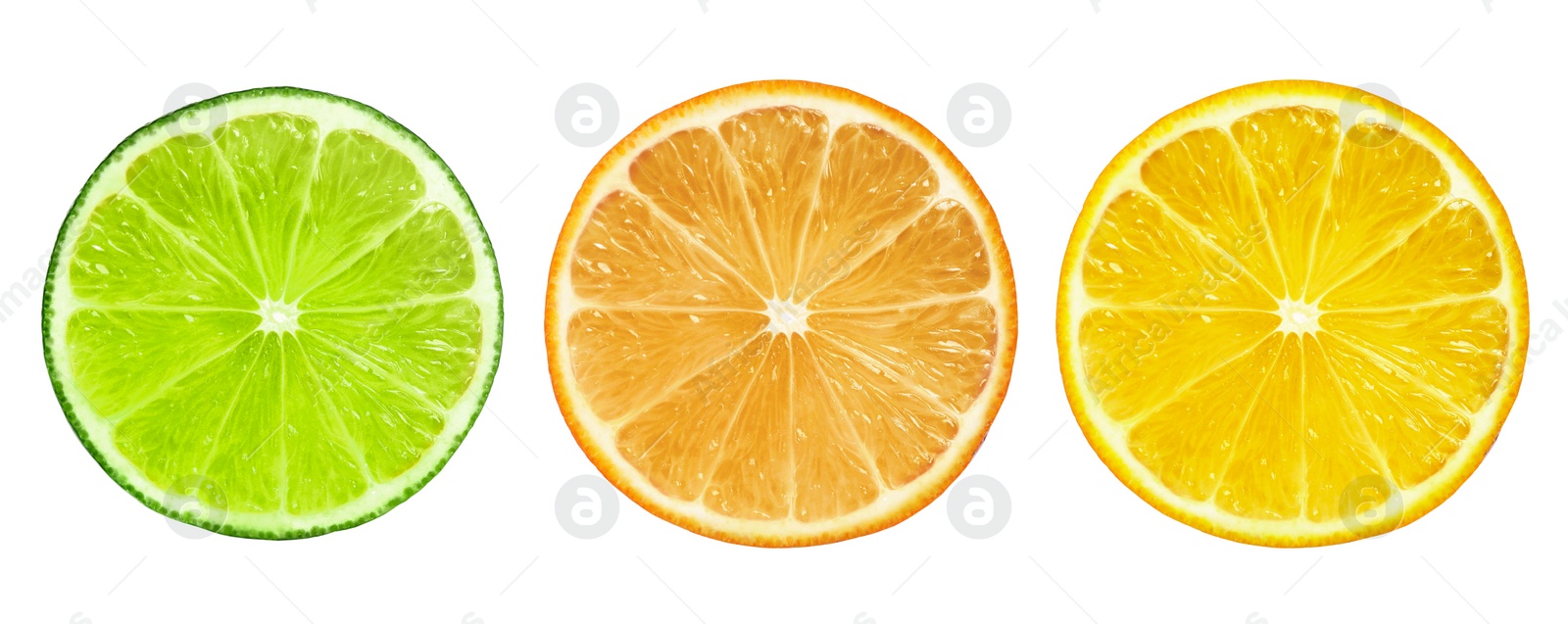 Image of Set of different citrus slices on white background, top view