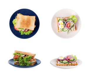 Set of different yummy sandwiches on white background