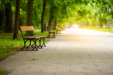 Photo of Beautiful view of green park with path and wooden bench. Space for text