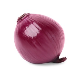 One fresh red onion on white background