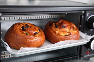 Photo of Delicious rolls with raisins on baking tray in oven, closeup. Cooking sweet buns
