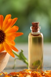 Photo of Bottle of essential oil and beautiful calendula flower on table outdoors, closeup