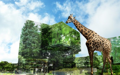 Image of Double exposure of natural scenery with giraffe and buildings in city