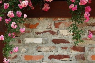 Photo of Beautiful flowers near old brick wall outdoors