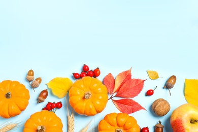 Flat lay composition with ripe pumpkins and autumn leaves on light blue background, space for text. Happy Thanksgiving day