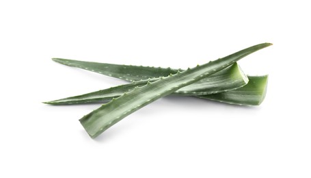 Photo of Green aloe vera leaves isolated on white