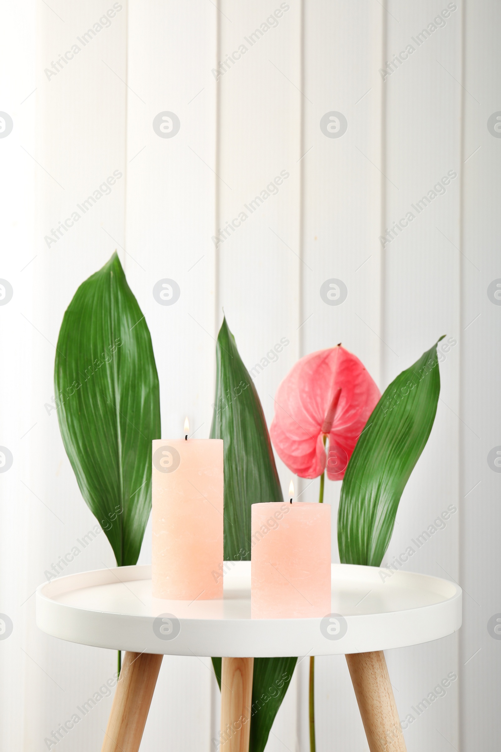 Photo of Creative composition with candles and tropical plants on light background