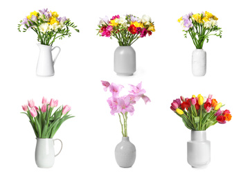 Set with beautiful flowers on white background